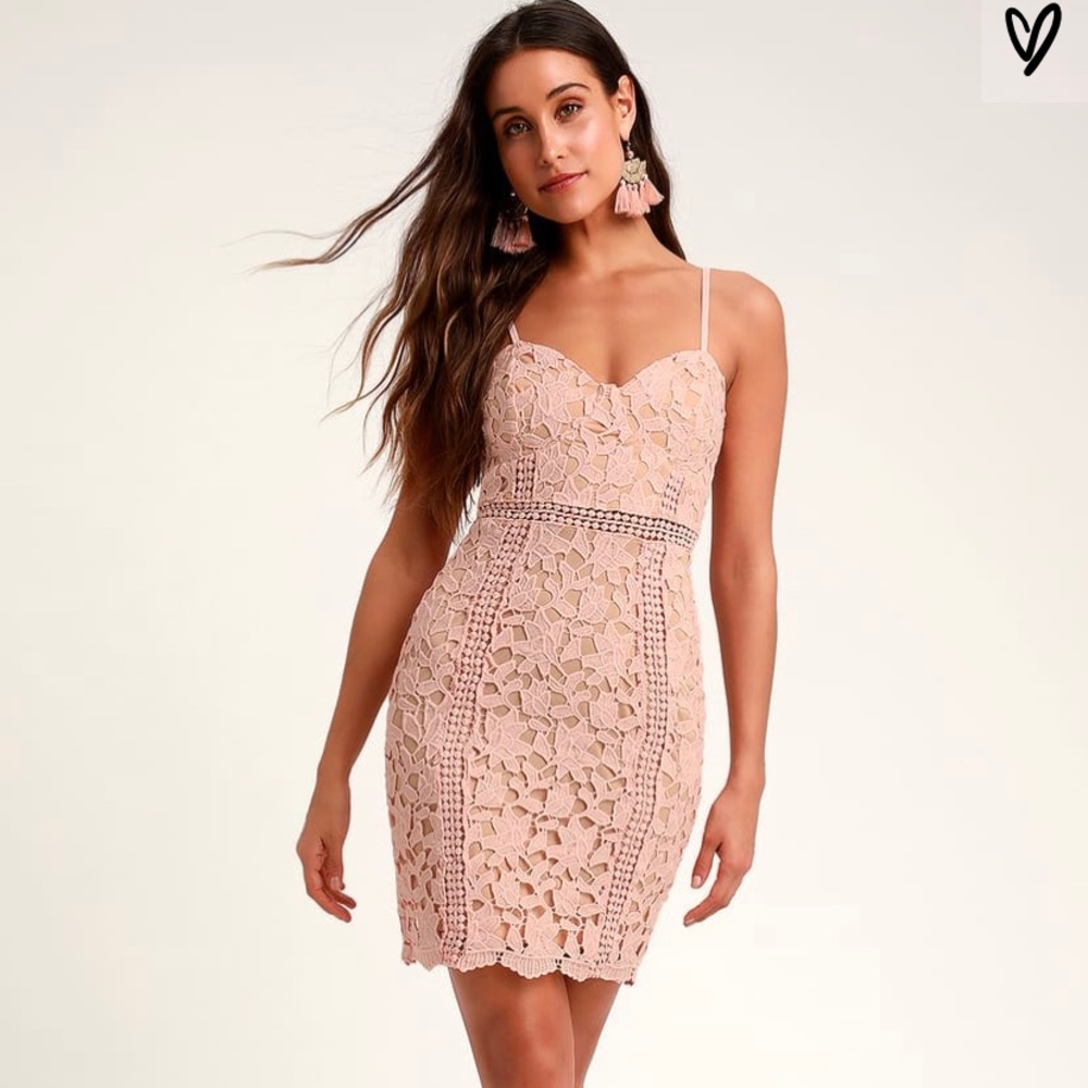 Lulus Blush Lace Dress *never worn*